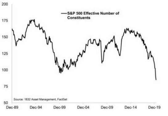 nombre de contributeurs effectifs à la performance du S&P 500