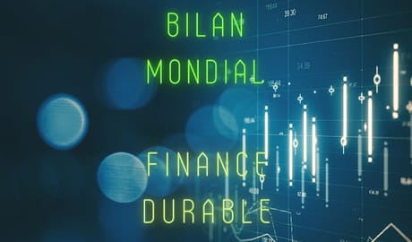 BILAN MONDIAL FINANCE DURABLE