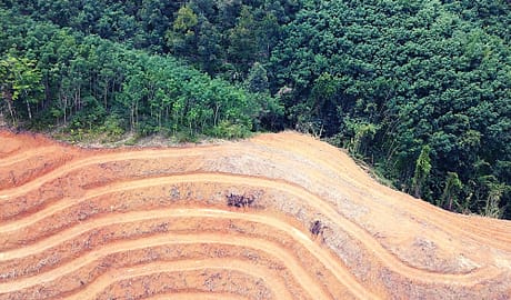Sustainability-linked bonds to save the Amazon's deforestation